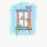 Cat on window