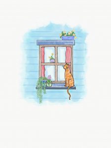 Cat on window